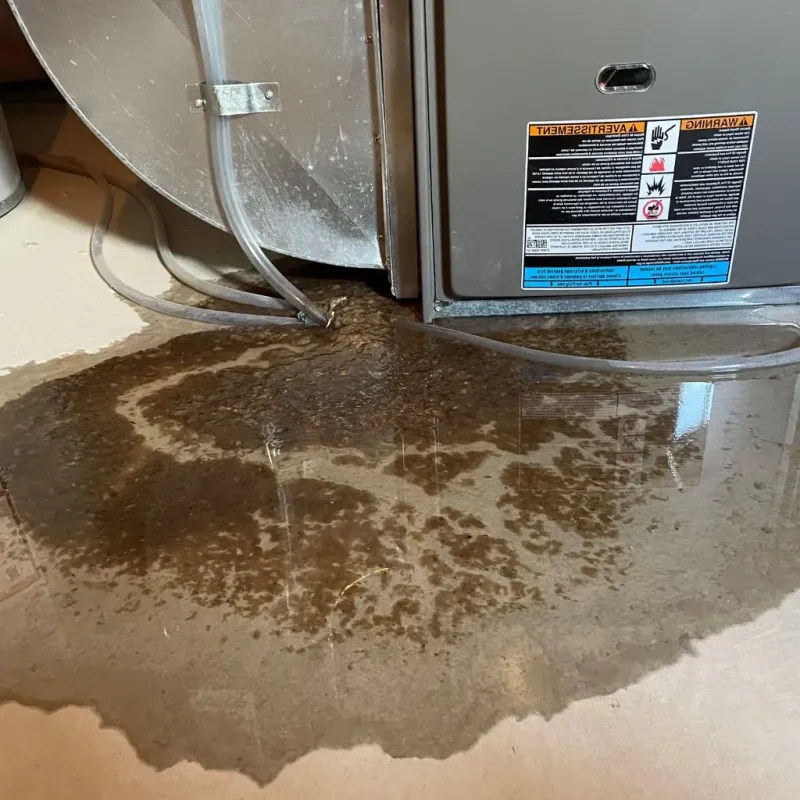 Pipe Burst and Leak Restoration in Union County, NM